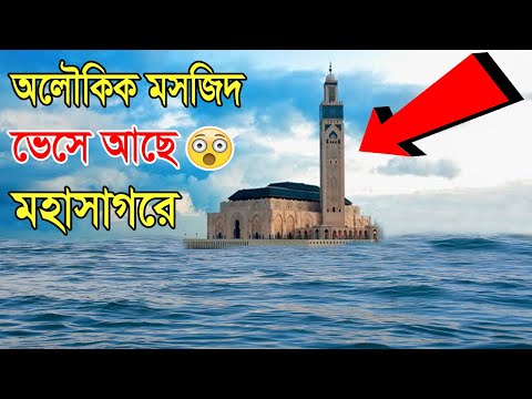 ভিডিও: জুনে কোথায় যাবেন সমুদ্র দিয়ে