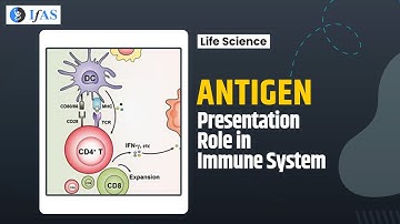 ANTIGEN PRESENTATION ROLE IN IMMUNE  SYSTEM I FAST REVISION SERIES I CSIR 2023 I CSIRNETI