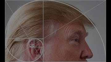 Fibonacci Dizisi