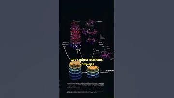 ¿Qué es una Red Neuronal y Cómo Funciona? 🧠✨