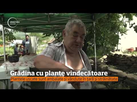 Video: „Inele” Vindecătoare