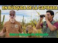 EN BUSQUEDA DE LA CAPIBARA DE HERMOSILLO I CENTRO ECOLOGICO PARTE 1