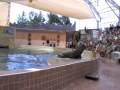 dolphinarium Troy, 2009, walrus show