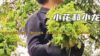 Download Lagu 小龍今天採摘了許多小花愛吃的蔬菜,接著還跟小花外出擺攤了,真是太厲害了《小花和小龙》432 MP3 Download Lagu 小龍今天採摘了許多小花愛吃的蔬菜,接著還跟小花外出擺攤了,真是太厲害了《小花和小龙》432 MP3