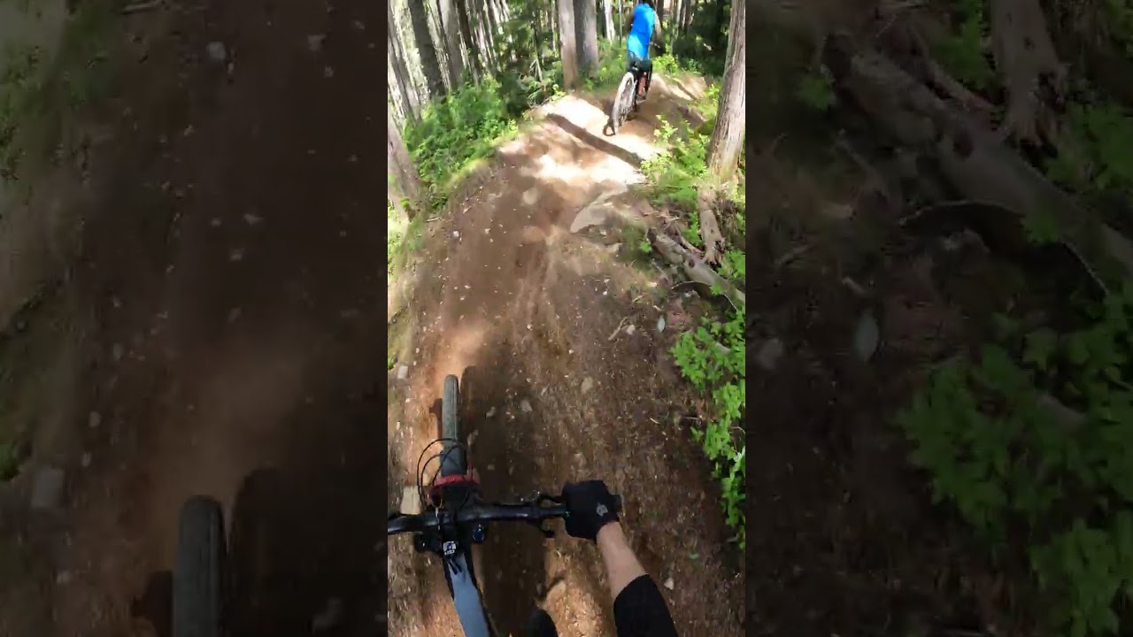 Una Moss to Midguard Trail at Whistler bike park
