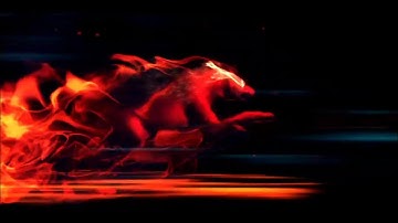 GAMING INTRO - WOLF/PHOENIX LOGOINTRO (NO COPYRIGHT SOUND) @TGROYGAMING