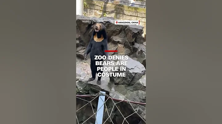 Zoo denies bears are people in costume - DayDayNews