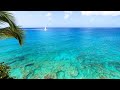 Island View: 6 Hours of Tropical Calm From The Caribbean (4K Video)