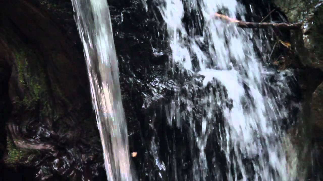 Land Of Medicine Buddha