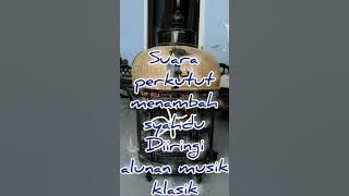 Langit berikan aku kekuatan | Suara perkutut syahdu