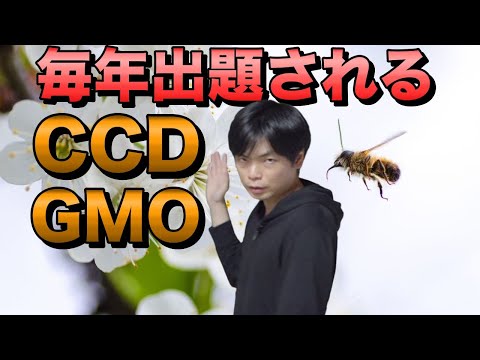 【入試超頻出】蜂群崩壊症候群CCDとGMO【英語長文背景知識講座14講】