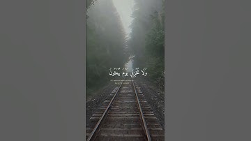 ربي هب لي حكما والحقني بالصالحين    القارئ اسلام صبحي