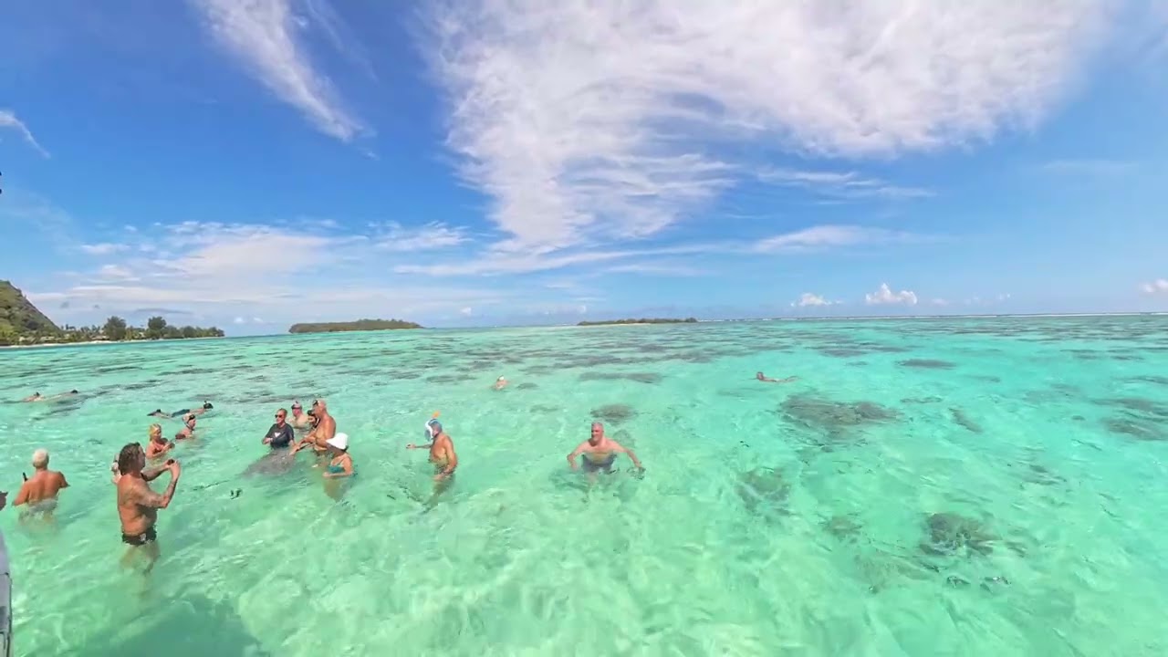 🌺 Moorea: incontro magico con le razze nelle acque cristalline