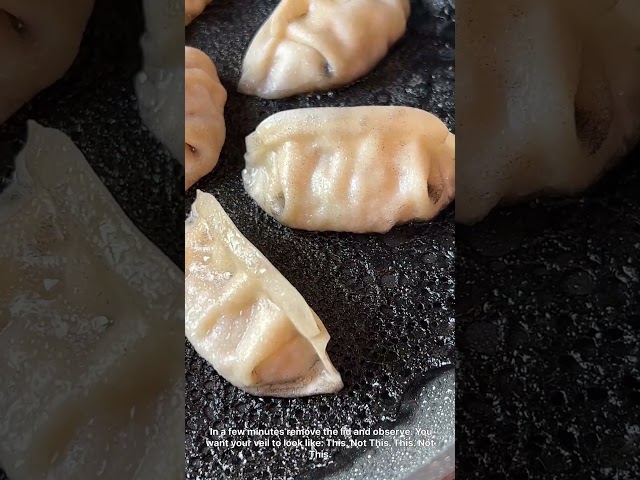 Wei-Chuan USA Creative Recipe! Spooky Squid Ink Gyoza Dumpling