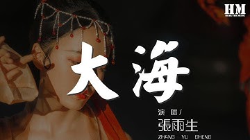 張雨生 - 大海『如果大海能夠喚回曾經的愛』【動態歌詞Lyrics】