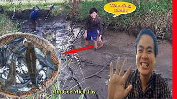 TÁT MƯƠNG BẮT CÁ LÓC ĐƯỢC CẢ TÔM-Unique Catching Fish - Amazing Man Catching A Lot Of Fish