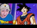 ZENO EXPO! Dragon Ball Super REACTION Episode 78