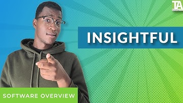 Insightful - Top Features, Pros & Cons, and Alternatives