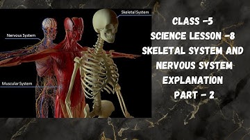 Class -5| Science lesson - 8| Skeletal System and Nervous System| Explanation | Part - 2
