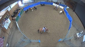 Big Sky Ranch Sorting Saddle Series Finals - #3 - Round #1 - Ride #9