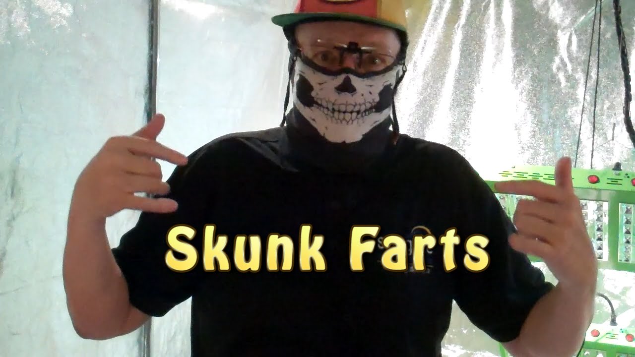 Slime Skunk Skunk Farts IV, Case of the Brown Slime - YouTube