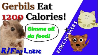 FatLogic - Gerbils Need 1200 Calories/day!!!! + Dechonkers