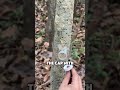 This Bottle Trick Becomes a Clothesline