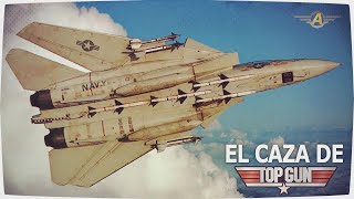 The Fighter Jet From Top Gun - Grumman F-14 Tomcat