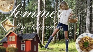 Sommer am schönsten Ort der Welt Pt. 2 ❤️‍🩹🫐🍓🇸🇪