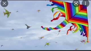 May Passion, Happiness And Success Fill Your Life. Happy Makar Sankranti