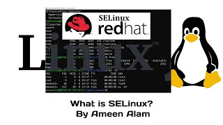 What is SELinux? for beginners in Urdu and Hindi