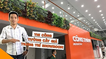Dự án thi công tường cây giả - Tường cỏ nhân tạo Showroom | Cỏ Nhân Tạo SG