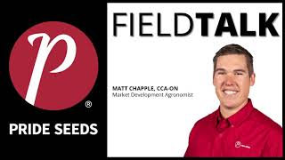 Corn Yield Potential with Different Populations