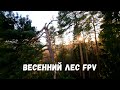 Магия весеннего леса / Spring forest FPV cinematic