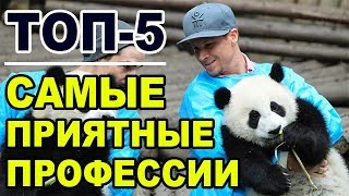 Самые приятные и необычные профессии в мире, Топ-5