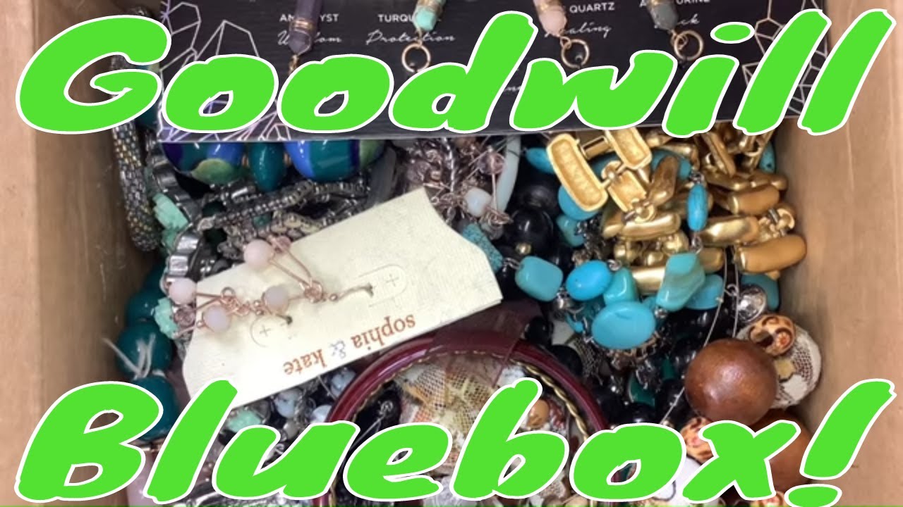 Goodwill BlueBox 5lb Repurpose Jewelry UNBOXING from Lake Worth, FL