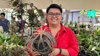 1 Million presyo ng isang plant! Makikita yan sa Plant Camp