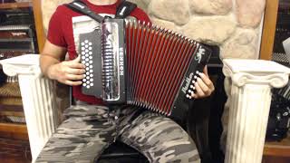 4897 - Black Hohner Panther Diatonic Button Accordion GCF Sol MM 31 12 $499