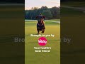 Captain Anna Nordqvist after Europe won the Solheim Cup! 🇪🇺  #golf