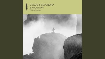 Evolution (Extended Mix)