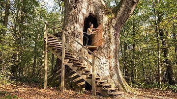 Building a Treehouse on an Ancient Giant Tree to Escape Wild Animals | Solo Survival in the Night