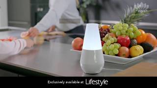 Made By Zen - Diffusers