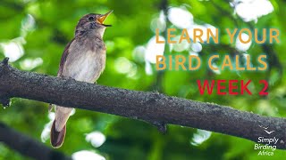 Learning Bird Calls Week 2 Hearing The Different Types Of Bird Sounds