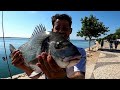 Pesca de dorada xxl (Portugal)picadon increible !!!!