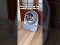 cat litter box #catlink #automaticlitterbox #ailitterbox #cat #catlitterbox #cathealth #cattips