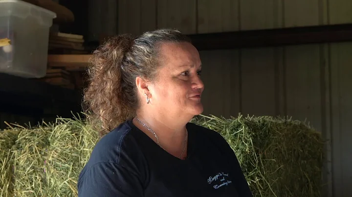How is hay made?