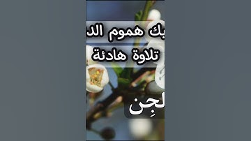 قال إنما أدعو ربي ولا أشرك به أحدا #تلاوة_خاشعة #قرآن #تلاوات #قران_كريم #قران_بصوت_جميل #تلاوة_جميل