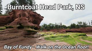 Burntcoat Head Park, Nova Scotia, CA
