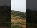 #safar tanha tanha kab talak #shorts #status #viral #shortsvideo#viralshorts #railway #train#nature