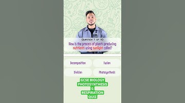 Test Yourself! A quiz on Photosynthesis & Respiration! #gcse #science #biology #quiz #photosynthesis